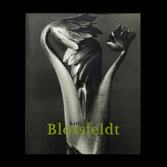 Karl Blossfeldt  